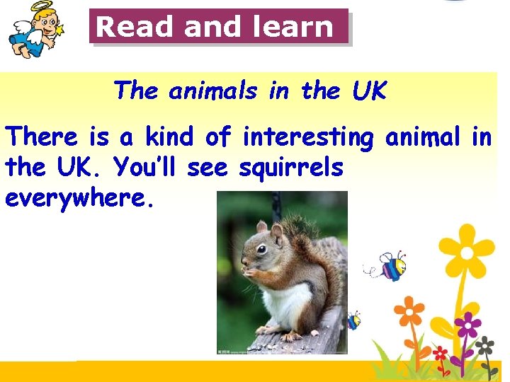 Read and learn The animals in the UK There is a kind of interesting