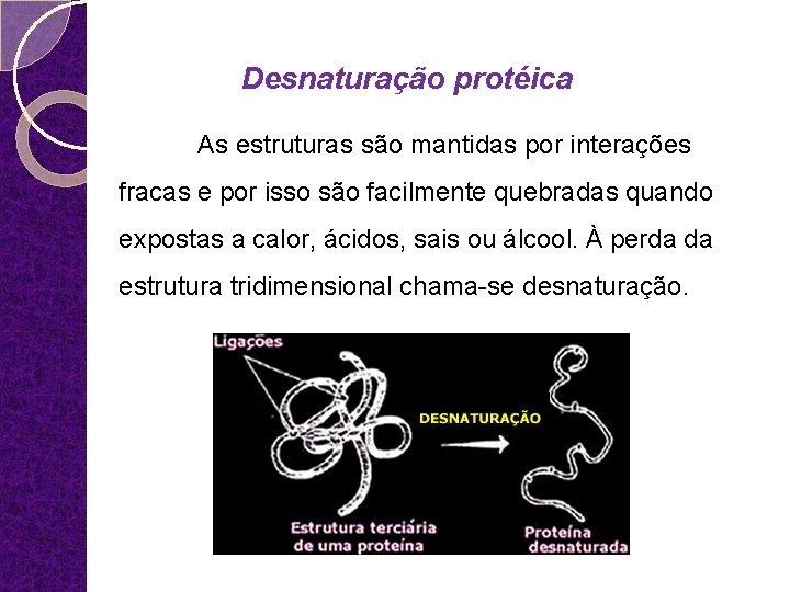 Desnaturação protéica As estruturas são mantidas por interações fracas e por isso são facilmente