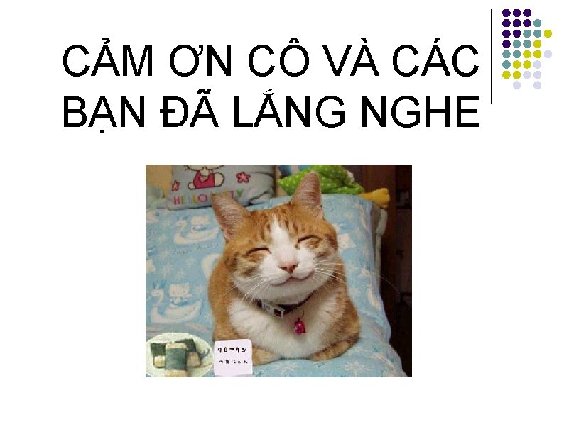 CẢM ƠN CÔ VÀ CÁC BẠN ĐÃ LẮNG NGHE 