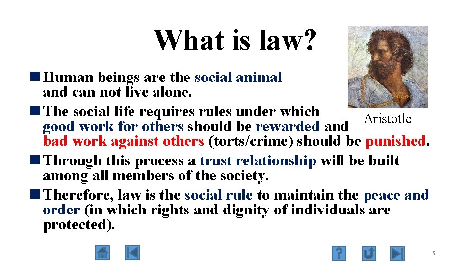 What is law? n Human beings are the social animal and can not live