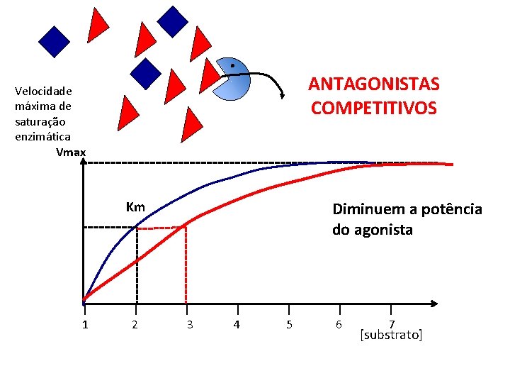 ANTAGONISTAS COMPETITIVOS Velocidade máxima de saturação enzimática Vmax Diminuem a potência do agonista Km