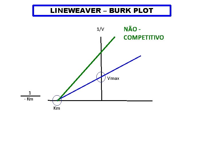 LINEWEAVER – BURK PLOT NÃO COMPETITIVO 1/V Vmax 1 - Km Km 