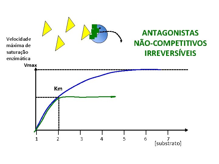 ANTAGONISTAS NÃO-COMPETITIVOS IRREVERSÍVEIS Velocidade máxima de saturação enzimática Vmax Km | 1 | 2