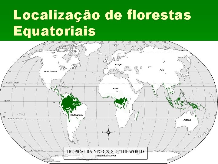 Localização de florestas Equatoriais 