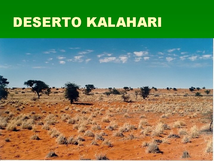 DESERTO KALAHARI 