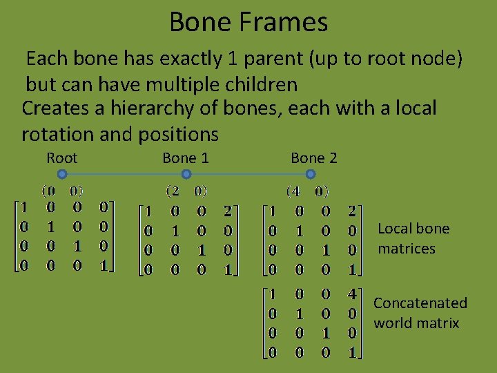 Bone Frames Each bone has exactly 1 parent (up to root node) but can