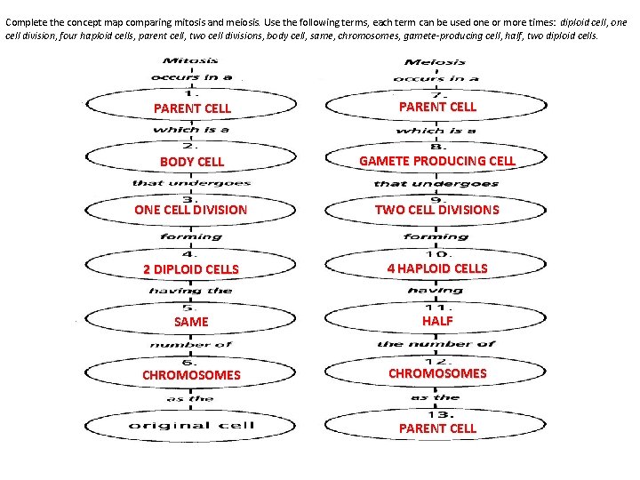 Complete the concept map comparing mitosis and meiosis. Use the following terms, each term