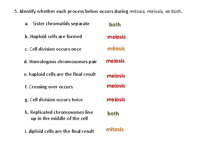 5. Identify whether each process below occurs during mitosis, meiosis, or both. a. Sister