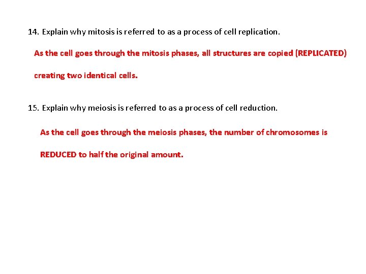 14. Explain why mitosis is referred to as a process of cell replication. As