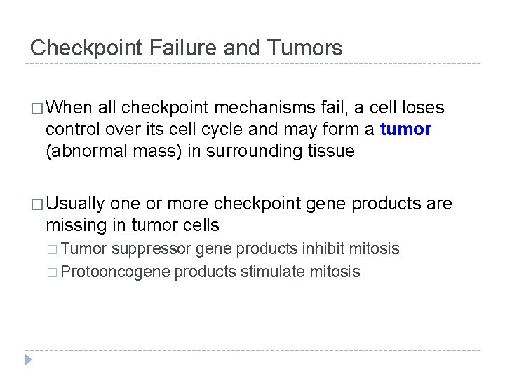 Checkpoint Failure and Tumors � When all checkpoint mechanisms fail, a cell loses control