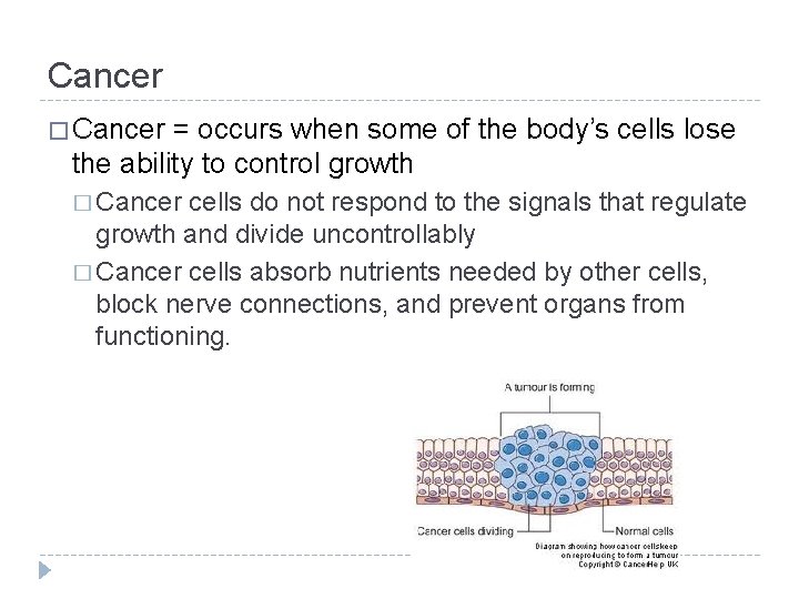 Cancer � Cancer = occurs when some of the body’s cells lose the ability