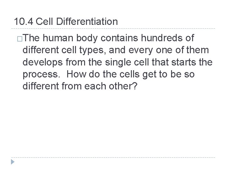 10. 4 Cell Differentiation �The human body contains hundreds of different cell types, and