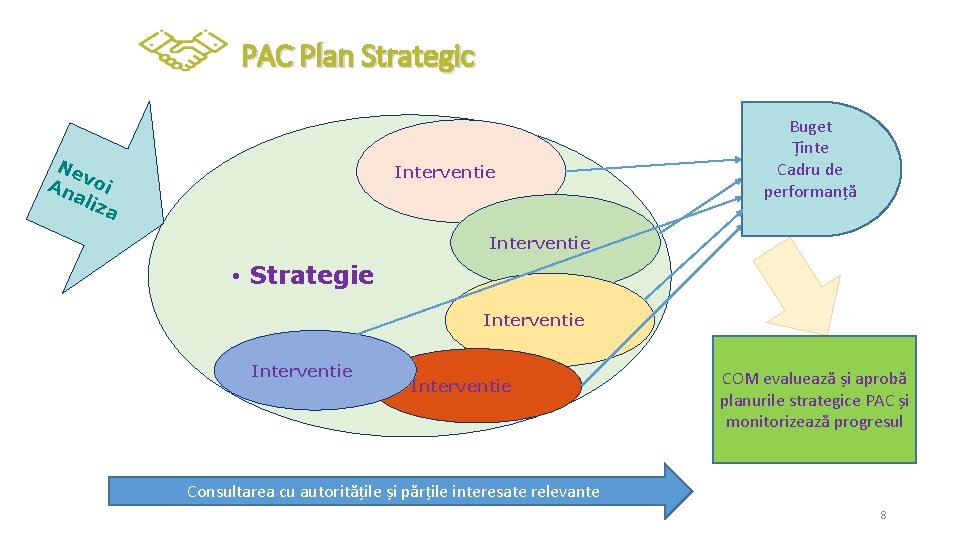 PAC Plan Strategic Ne An voi ali za Interventie Buget Ținte Cadru de performanță