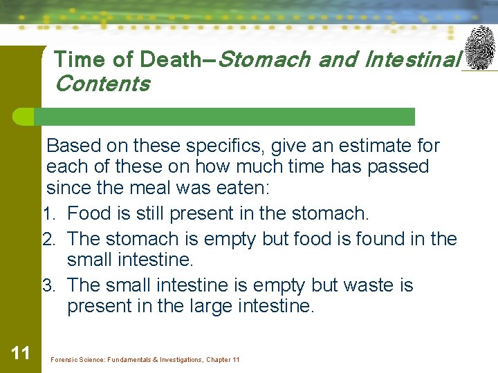 Time of Death—Stomach and Intestinal Contents Based on these specifics, give an estimate for