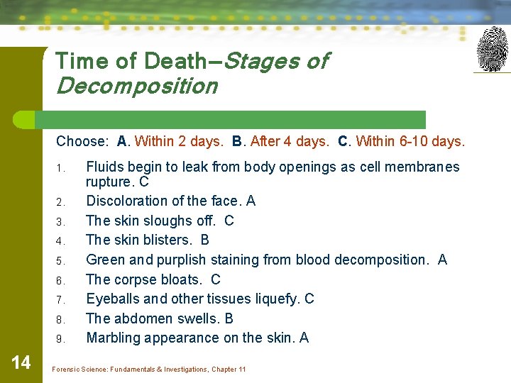 Time of Death—Stages of Decomposition Choose: A. Within 2 days. B. After 4 days.