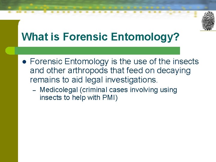 What is Forensic Entomology? l Forensic Entomology is the use of the insects and