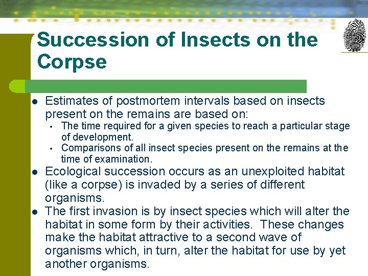 Succession of Insects on the Corpse l Estimates of postmortem intervals based on insects