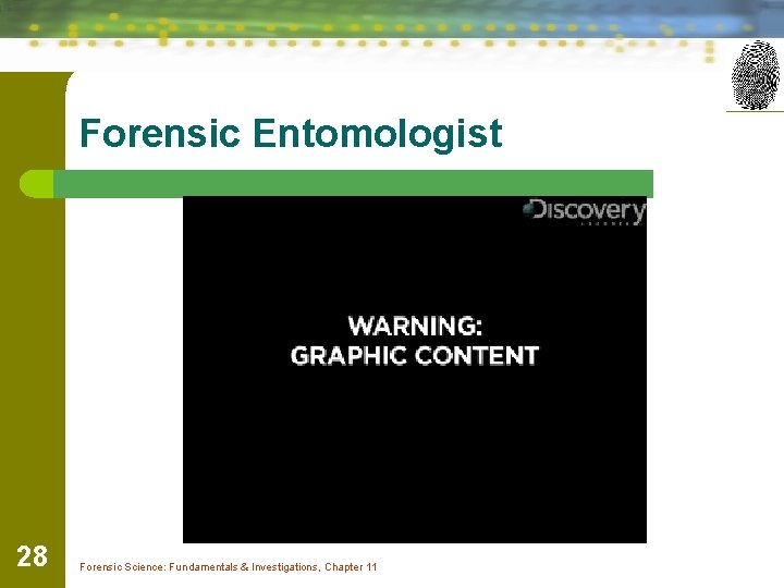 Forensic Entomologist 28 Forensic Science: Fundamentals & Investigations, Chapter 11 