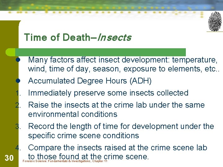 Time of Death—Insects Many factors affect insect development: temperature, wind, time of day, season,