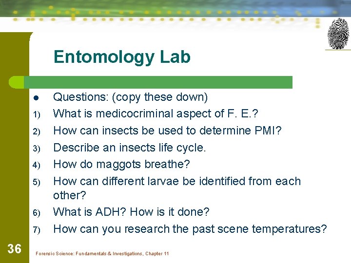 Entomology Lab l 1) 2) 3) 4) 5) 6) 7) 36 Questions: (copy these