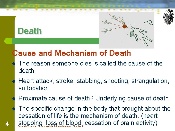 Death Cause and Mechanism of Death 4 l The reason someone dies is called