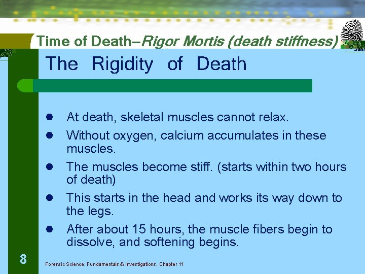Time of Death—Rigor Mortis (death stiffness) The Rigidity of Death l l l 8
