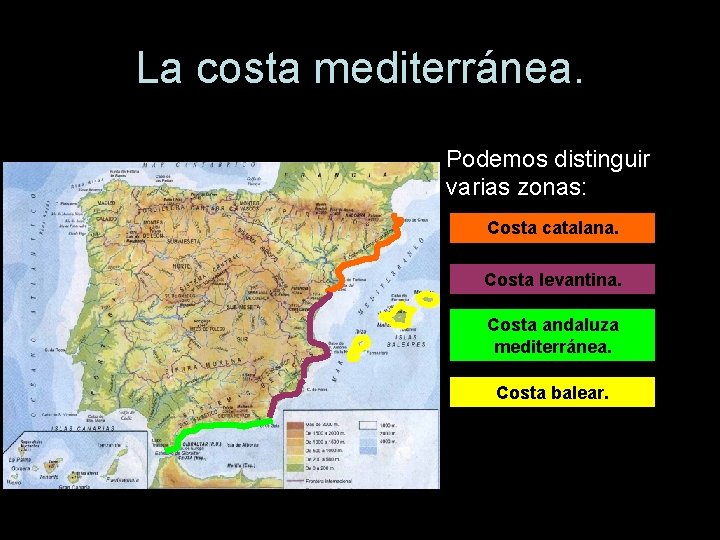La costa mediterránea. Podemos distinguir varias zonas: Costa catalana. Costa levantina. Costa andaluza mediterránea.