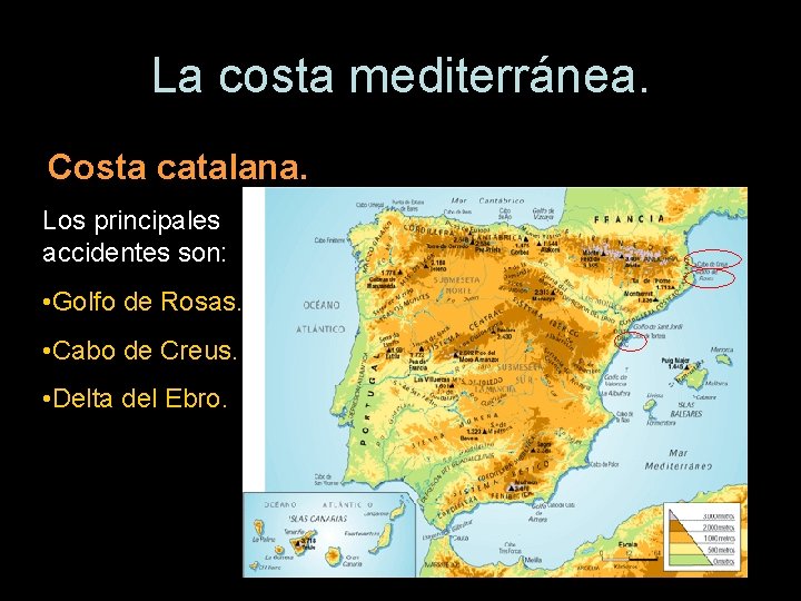 La costa mediterránea. Costa catalana. Los principales accidentes son: • Golfo de Rosas. •