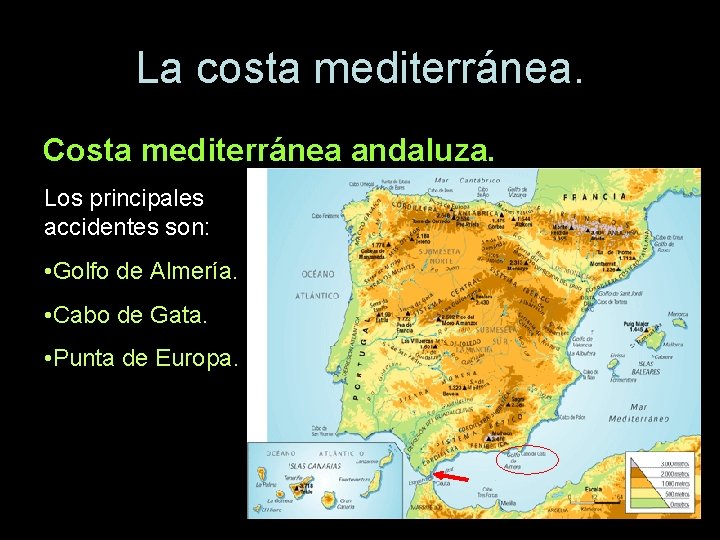 La costa mediterránea. Costa mediterránea andaluza. Los principales accidentes son: • Golfo de Almería.
