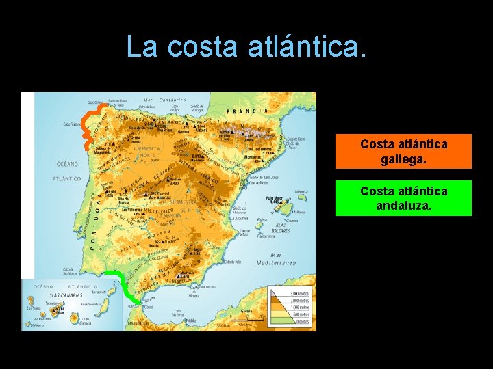 La costa atlántica. Podemos distinguir : Costa atlántica gallega. Costa atlántica andaluza. 