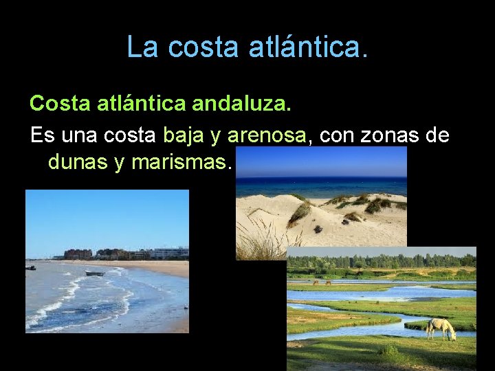 La costa atlántica. Costa atlántica andaluza. Es una costa baja y arenosa, con zonas