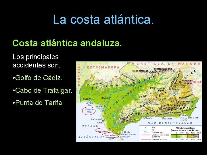 La costa atlántica. Costa atlántica andaluza. Los principales accidentes son: • Golfo de Cádiz.