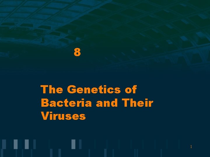8 The Genetics of Bacteria and Their Viruses 1 