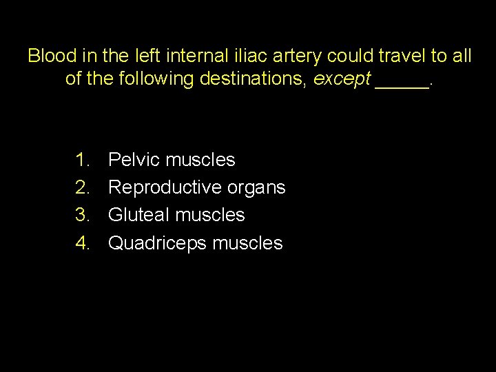 Blood in the left internal iliac artery could travel to all of the following