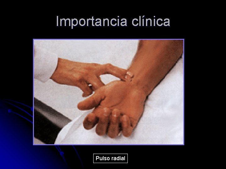 Importancia clínica Pulso radial 