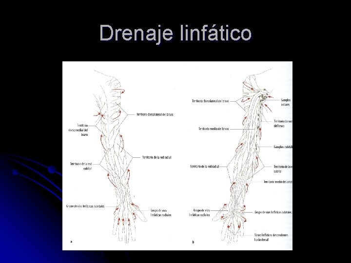 Drenaje linfático 