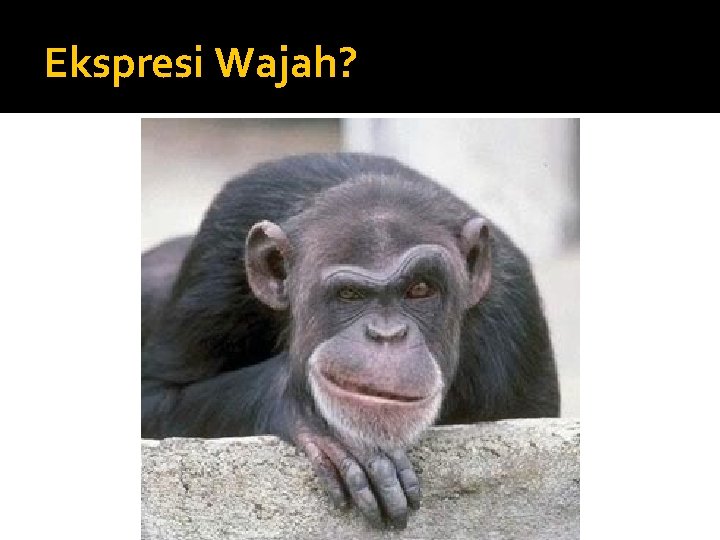 Ekspresi Wajah? 