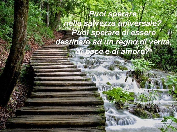 Puoi sperare nella salvezza universale? Puoi sperare di essere destinato ad un regno di
