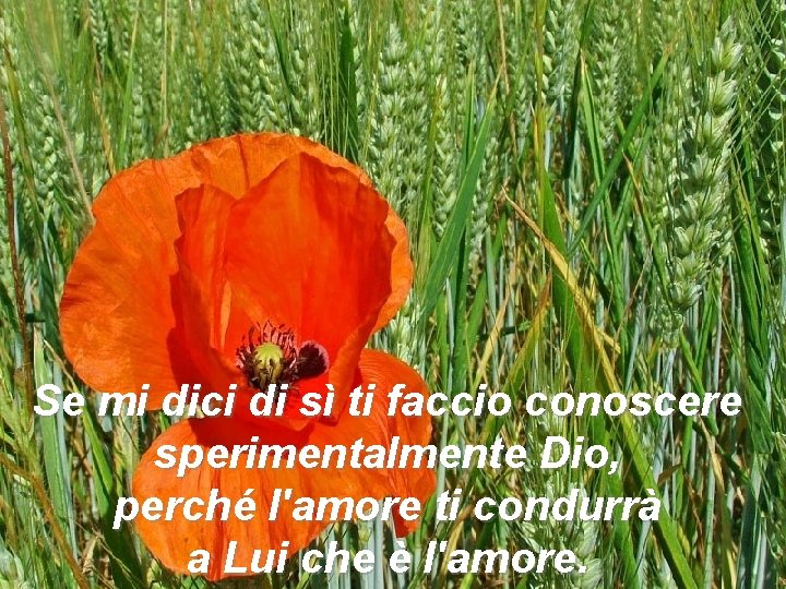 Se mi dici di sì ti faccio conoscere sperimentalmente Dio, perché l'amore ti condurrà
