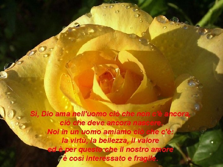 Sì, Dio ama nell'uomo ciò che non c'è ancora, ciò che deve ancora nascere.