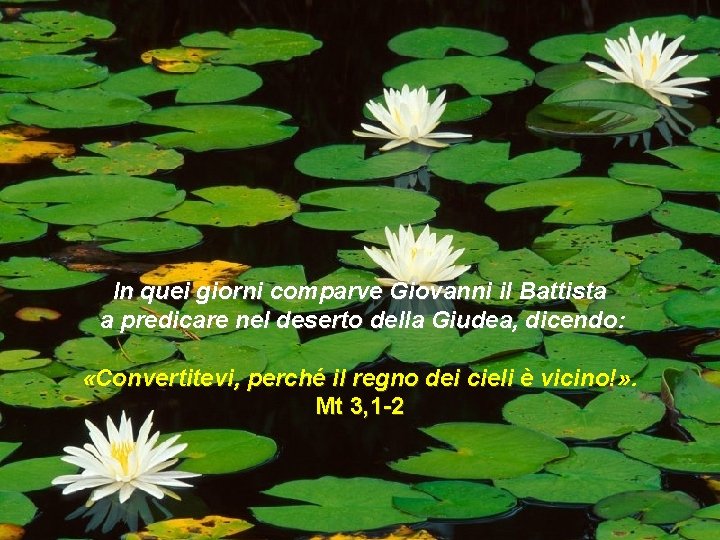 In quei giorni comparve Giovanni il Battista a predicare nel deserto della Giudea, dicendo: