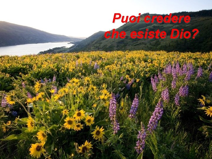 Puoi credere che esiste Dio? 