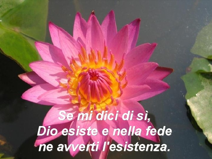 Se mi dici di sì, Dio esiste e nella fede ne avverti l'esistenza. 