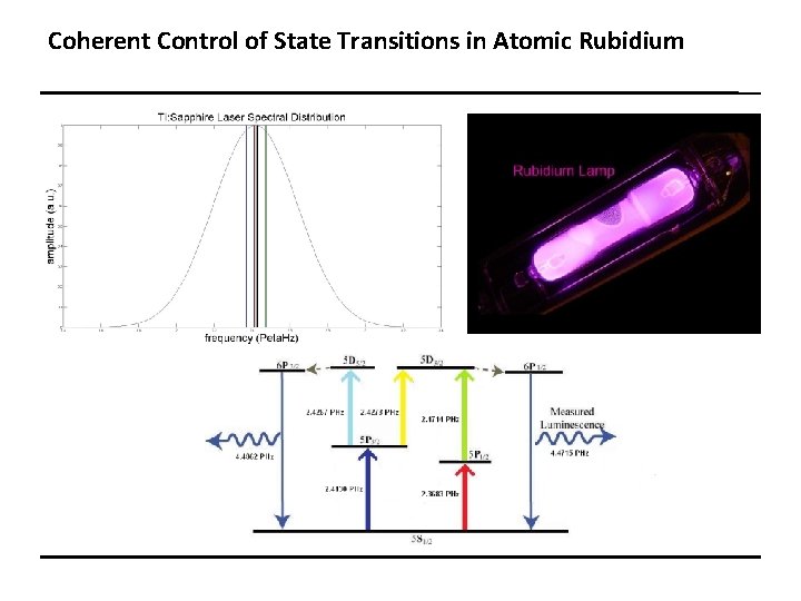 Coherent Control of State Transitions in Atomic Rubidium 