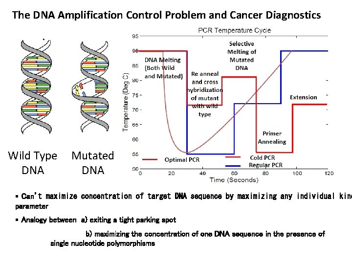 The DNA Amplification Control Problem and Cancer Diagnostics Wild Type Mutated DNA § Can’t