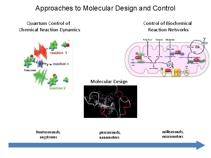 Approaches to Molecular Design and Control Quantum Control of Chemical Reaction Dynamics Control of