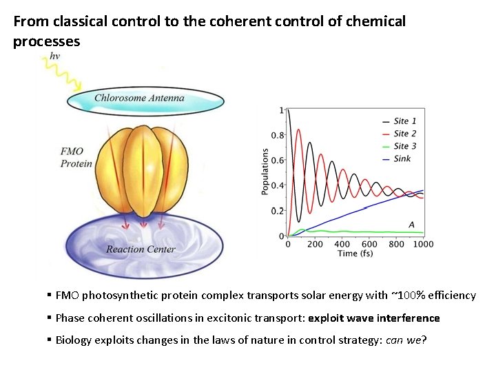 From classical control to the coherent control of chemical processes § FMO photosynthetic protein