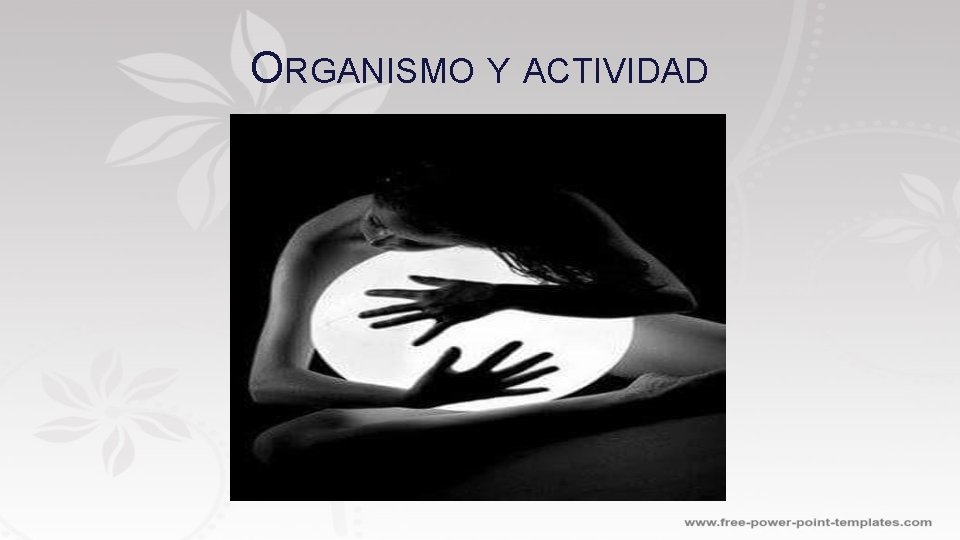 ORGANISMO Y ACTIVIDAD 