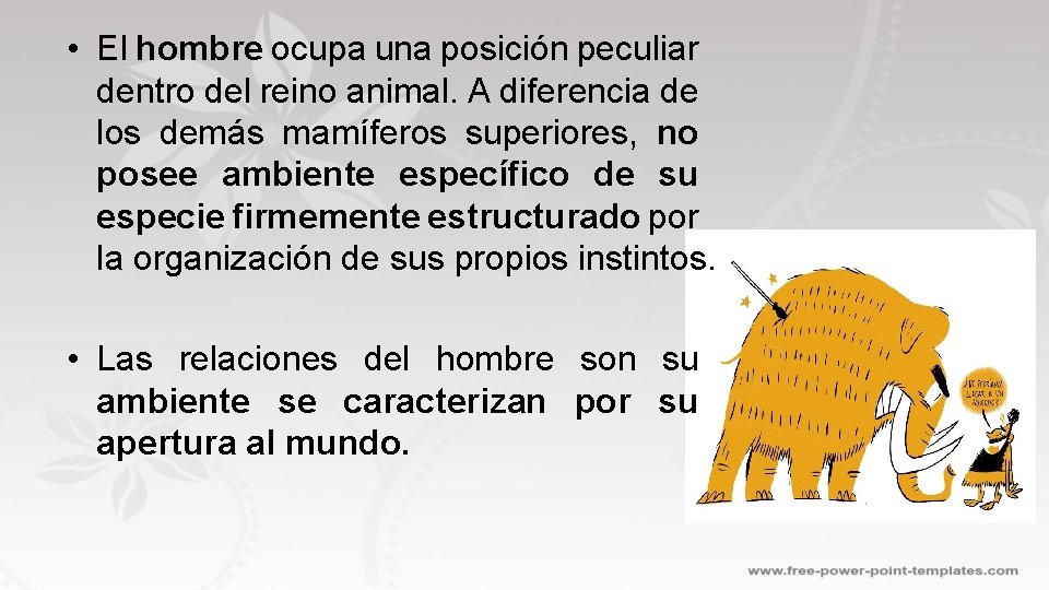  • El hombre ocupa una posición peculiar dentro del reino animal. A diferencia