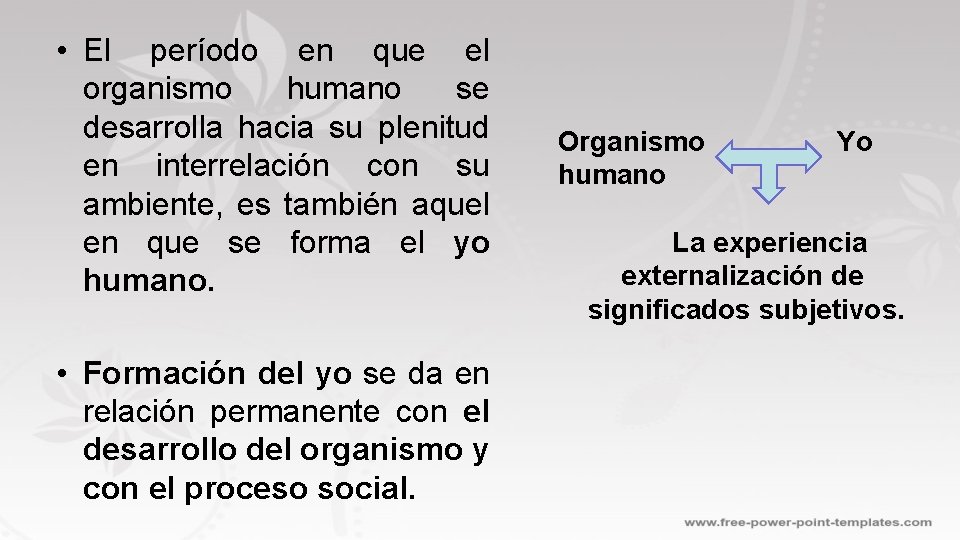  • El período en que el organismo humano se desarrolla hacia su plenitud